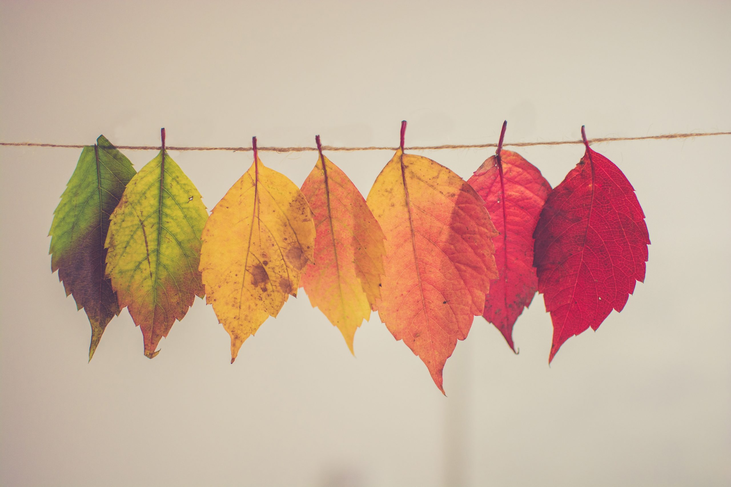 Uh Oh…It’s Fall Again