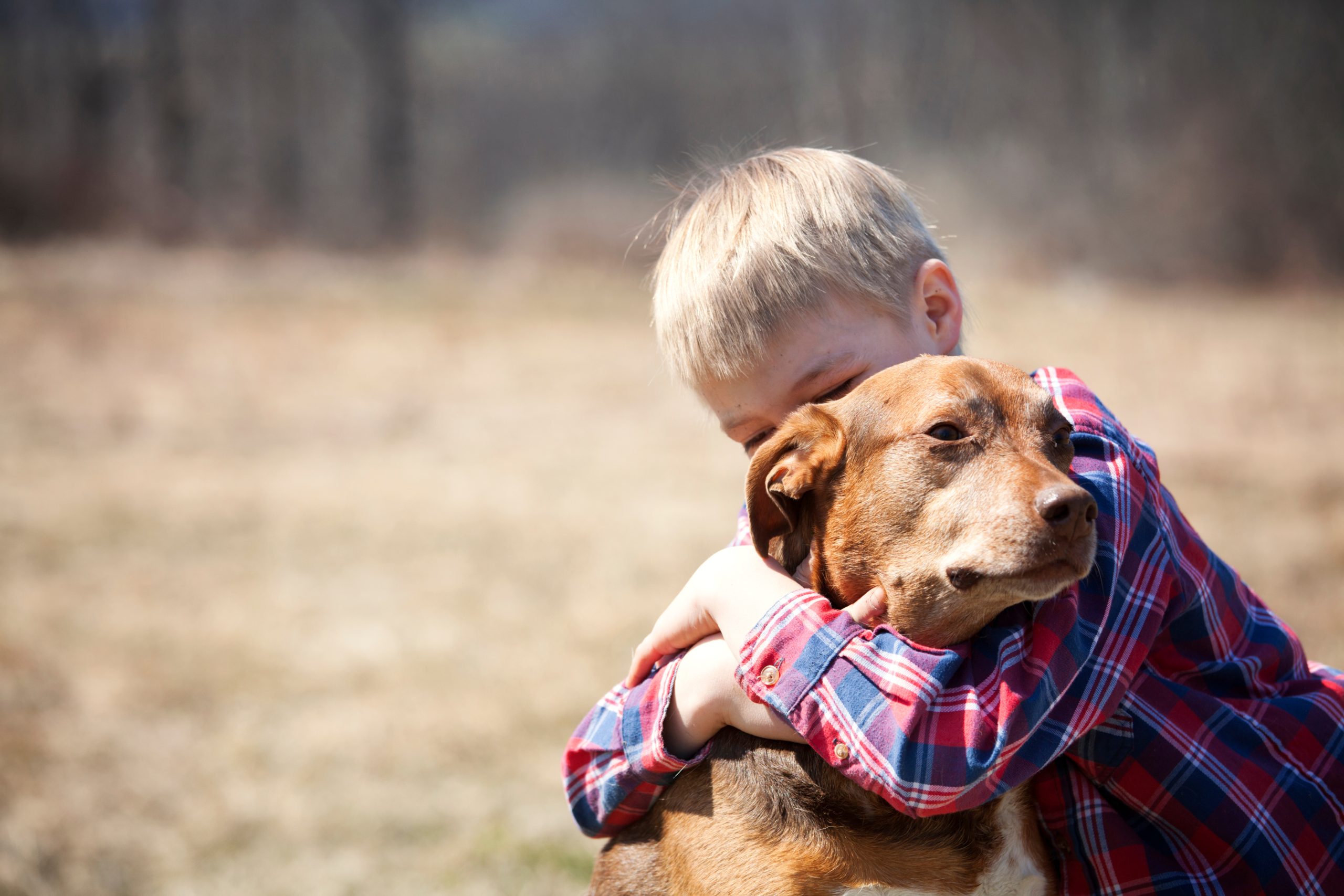 Coping With The Loss Of A Pet