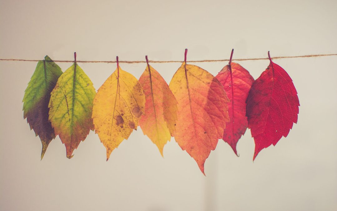Uh Oh…It’s Fall Again