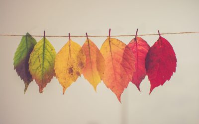 Uh Oh…It’s Fall Again