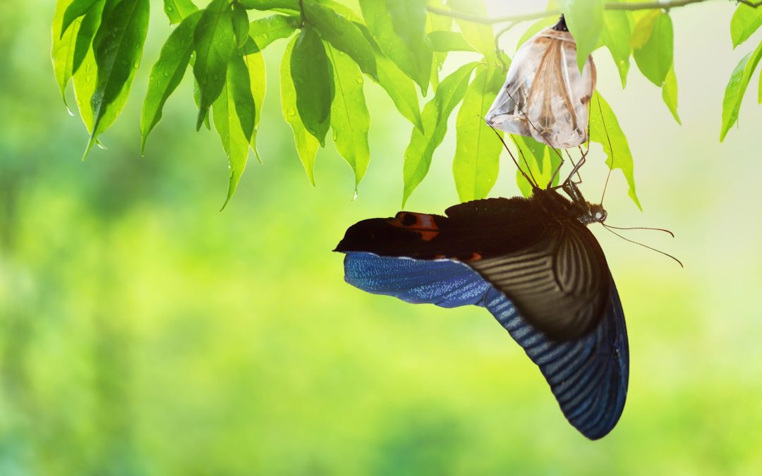 How to Deal With Change