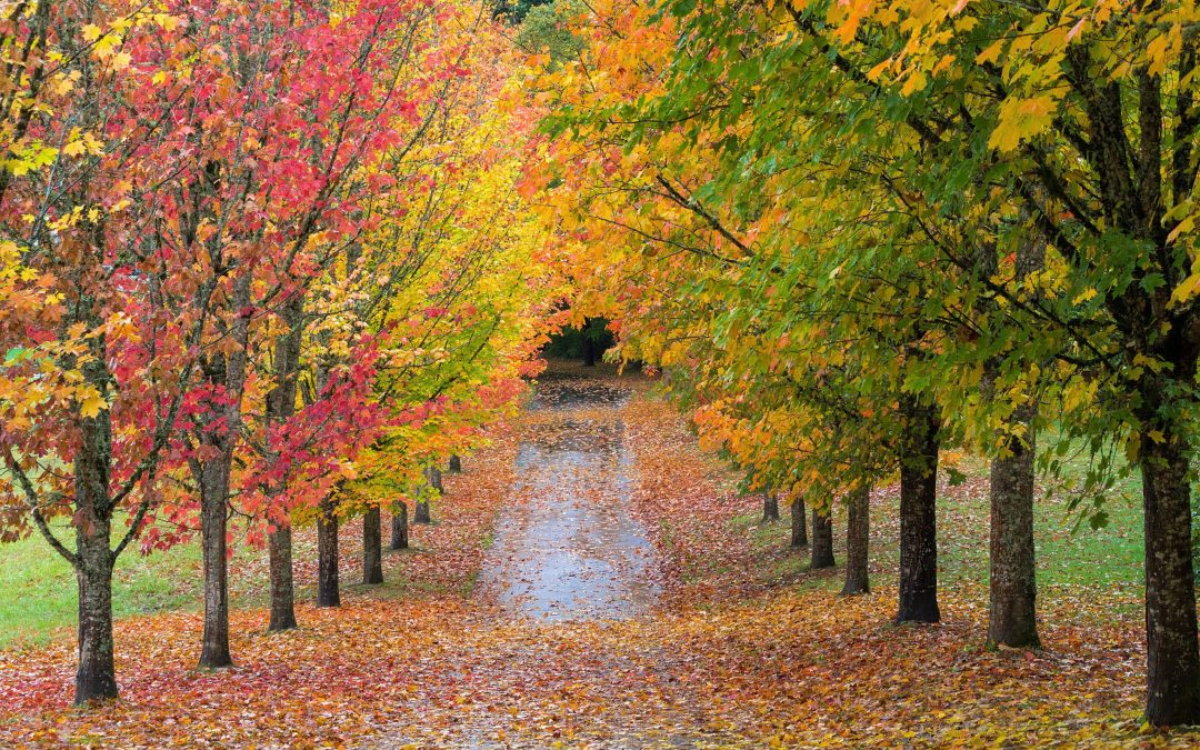A Season of Change