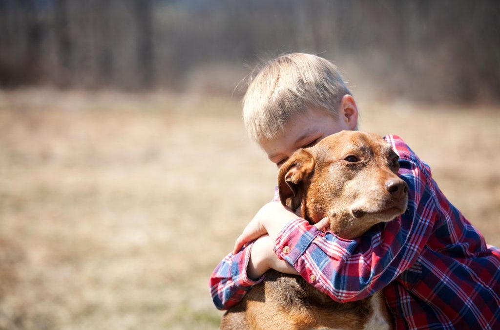 Coping With The Loss Of A Pet