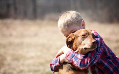 Coping With The Loss Of A Pet