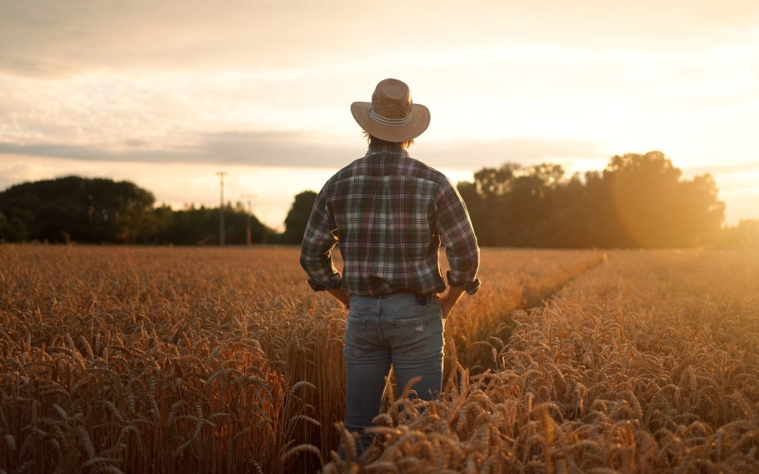 Do You Know How to Enjoy A Harvest?